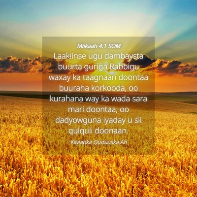 Picture 04 - Miikaah 4:1 SOM - Laakiinse ugu dambaysta buurta guriga Rabbigu - Bible Verse Picture