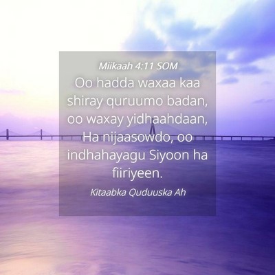 Picture 04 - Miikaah 4:11 SOM - Oo hadda waxaa kaa shiray quruumo badan, oo waxay - Bible Verse Picture