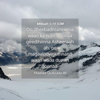 Picture 04 - Miikaah 5:14 SOM - Oo dhexbadhtankiinna waan ka rujin doonaa - Bible Verse Picture