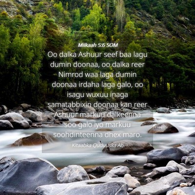 Picture 04 - Miikaah 5:6 SOM - Oo dalka Ashuur seef baa lagu dumin doonaa, oo - Bible Verse Picture