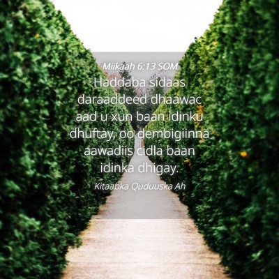 Picture 04 - Miikaah 6:13 SOM - Haddaba sidaas daraaddeed dhaawac aad u xun baan - Bible Verse Picture