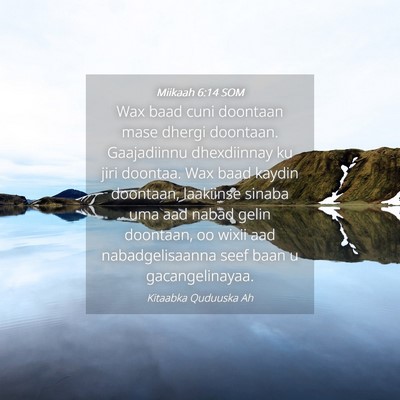 Picture 04 - Miikaah 6:14 SOM - Wax baad cuni doontaan mase dhergi doontaan. - Bible Verse Picture