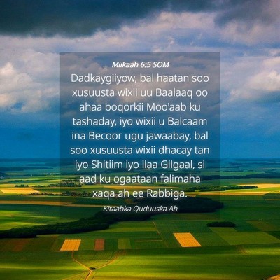 Picture 04 - Miikaah 6:5 SOM - Dadkaygiiyow, bal haatan soo xusuusta wixii uu - Bible Verse Picture
