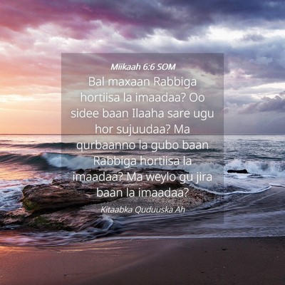 Picture 04 - Miikaah 6:6 SOM - Bal maxaan Rabbiga hortiisa la imaadaa? Oo sidee - Bible Verse Picture