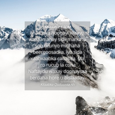 Picture 04 - Miikaah 7:1 SOM - Anaa iska hoogay! Waayo, waxaan ahay sidii marka - Bible Verse Picture