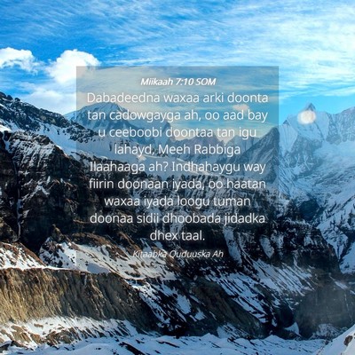 Picture 04 - Miikaah 7:10 SOM - Dabadeedna waxaa arki doonta tan cadowgayga ah, - Bible Verse Picture