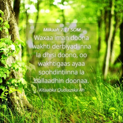 Picture 04 - Miikaah 7:11 SOM - Waxaa iman doona wakhti derbiyadiinna la dhisi - Bible Verse Picture