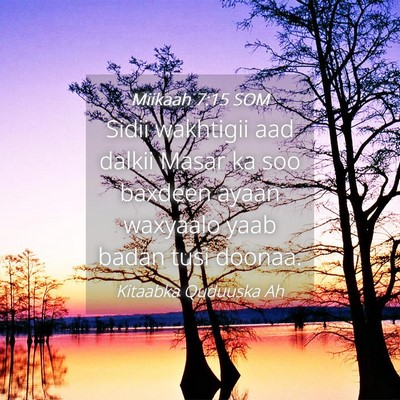 Picture 04 - Miikaah 7:15 SOM - Sidii wakhtigii aad dalkii Masar ka soo baxdeen - Bible Verse Picture