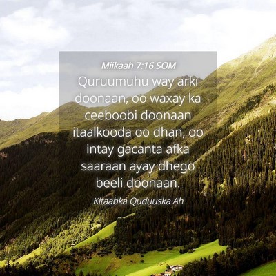 Picture 04 - Miikaah 7:16 SOM - Quruumuhu way arki doonaan, oo waxay ka ceeboobi - Bible Verse Picture