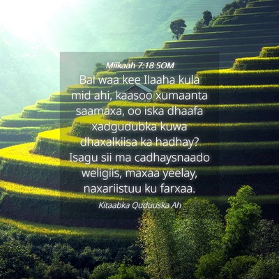 Picture 04 - Miikaah 7:18 SOM - Bal waa kee Ilaaha kula mid ahi, kaasoo xumaanta - Bible Verse Picture