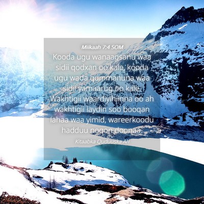 Picture 04 - Miikaah 7:4 SOM - Kooda ugu wanaagsanu waa sidii qodxan oo kale, - Bible Verse Picture
