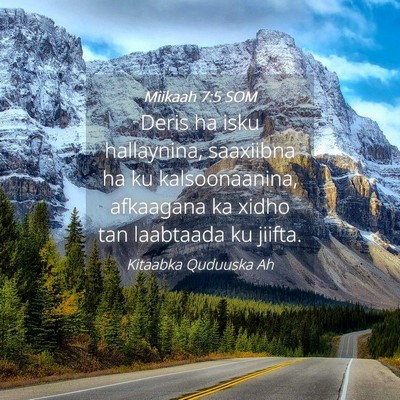 Picture 04 - Miikaah 7:5 SOM - Deris ha isku hallaynina, saaxiibna ha ku - Bible Verse Picture