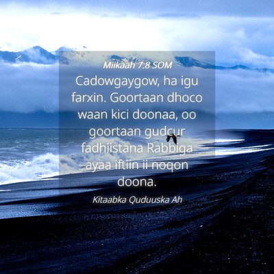 Picture 04 - Miikaah 7:8 SOM - Cadowgaygow, ha igu farxin. Goortaan dhoco waan - Bible Verse Picture