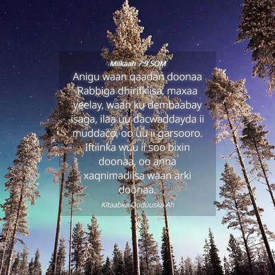 Picture 04 - Miikaah 7:9 SOM - Anigu waan qaadan doonaa Rabbiga dhirifkiisa, - Bible Verse Picture