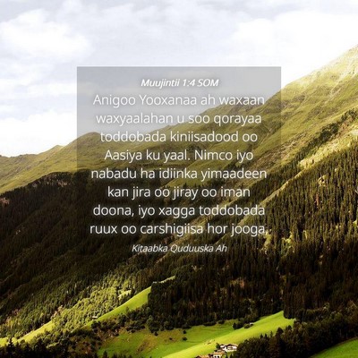 Picture 04 - Muujintii 1:4 SOM - Anigoo Yooxanaa ah waxaan waxyaalahan u soo - Bible Verse Picture