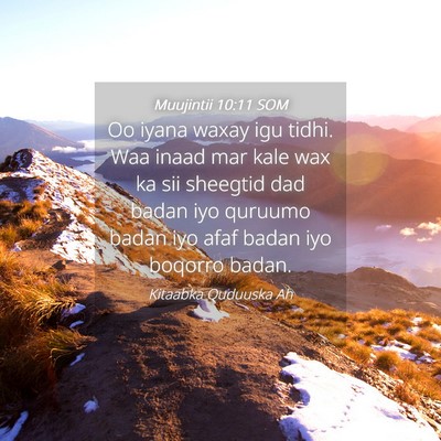 Picture 04 - Muujintii 10:11 SOM - Oo iyana waxay igu tidhi. Waa inaad mar kale wax - Bible Verse Picture