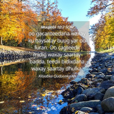 Picture 04 - Muujintii 10:2 SOM - oo gacanteedana waxay ku haysatay buug yar oo - Bible Verse Picture