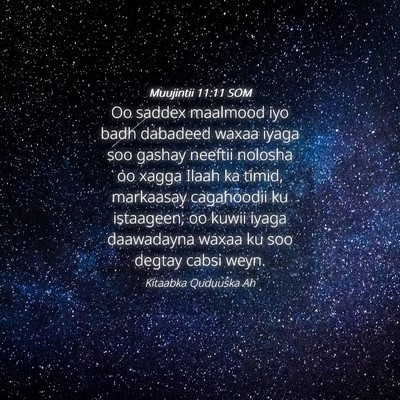 Picture 04 - Muujintii 11:11 SOM - Oo saddex maalmood iyo badh dabadeed waxaa iyaga - Bible Verse Picture