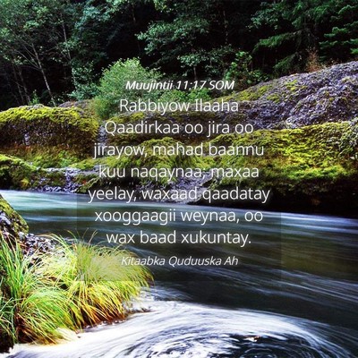 Picture 04 - Muujintii 11:17 SOM - Rabbiyow Ilaaha Qaadirkaa oo jira oo jirayow, - Bible Verse Picture