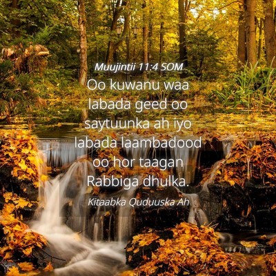 Picture 04 - Muujintii 11:4 SOM - Oo kuwanu waa labada geed oo saytuunka ah iyo - Bible Verse Picture