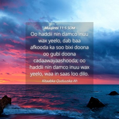 Picture 04 - Muujintii 11:5 SOM - Oo haddii nin damco inuu wax yeelo, dab baa - Bible Verse Picture