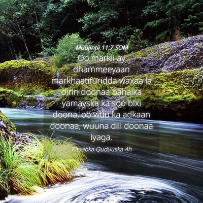 Picture 04 - Muujintii 11:7 SOM - Oo markii ay dhammeeyaan markhaatifuridda waxaa - Bible Verse Picture