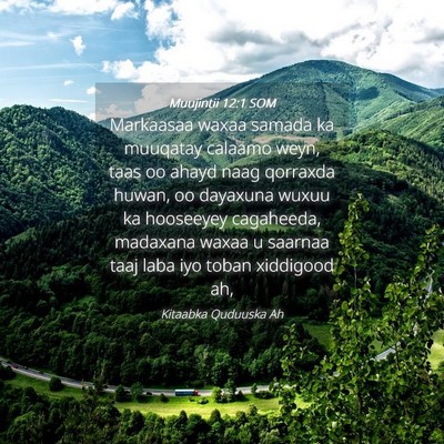 Picture 04 - Muujintii 12:1 SOM - Markaasaa waxaa samada ka muuqatay calaamo weyn, - Bible Verse Picture