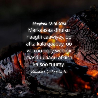 Picture 04 - Muujintii 12:16 SOM - Markaasaa dhulku naagtii caawiyey, oo afka kala - Bible Verse Picture