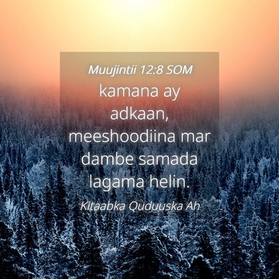Picture 04 - Muujintii 12:8 SOM - kamana ay adkaan, meeshoodiina mar dambe samada - Bible Verse Picture