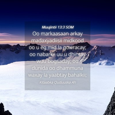 Picture 04 - Muujintii 13:3 SOM - Oo markaasaan arkay madaxyadiisii midkood oo u eg - Bible Verse Picture