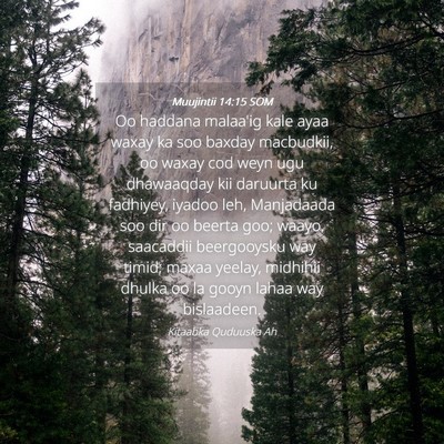 Picture 04 - Muujintii 14:15 SOM - Oo haddana malaa'ig kale ayaa waxay ka soo baxday - Bible Verse Picture