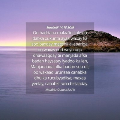 Picture 04 - Muujintii 14:18 SOM - Oo haddana malaa'ig kale oo dabka xukunta ayaa - Bible Verse Picture