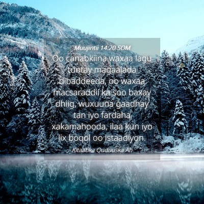 Picture 04 - Muujintii 14:20 SOM - Oo canabkiina waxaa lagu tuntay magaalada - Bible Verse Picture