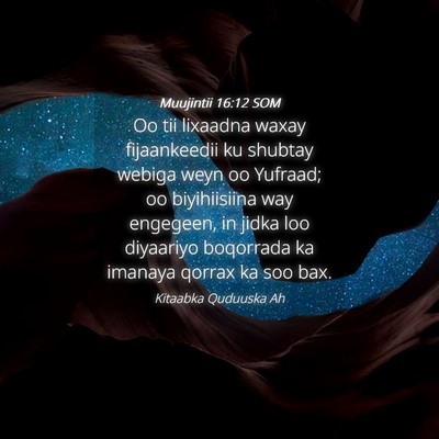 Picture 04 - Muujintii 16:12 SOM - Oo tii lixaadna waxay fijaankeedii ku shubtay - Bible Verse Picture
