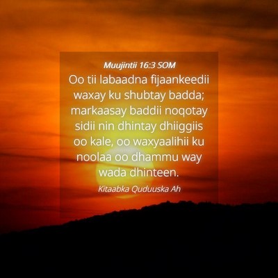 Picture 04 - Muujintii 16:3 SOM - Oo tii labaadna fijaankeedii waxay ku shubtay - Bible Verse Picture