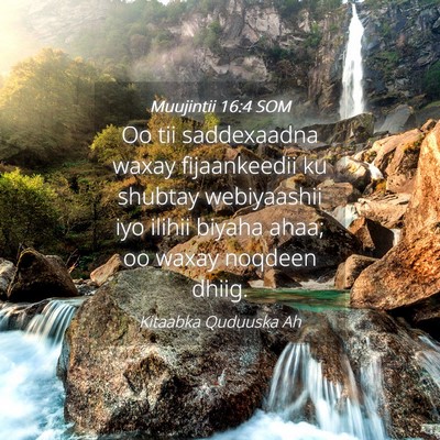 Picture 04 - Muujintii 16:4 SOM - Oo tii saddexaadna waxay fijaankeedii ku shubtay - Bible Verse Picture