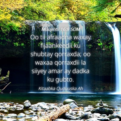 Picture 04 - Muujintii 16:8 SOM - Oo tii afraadna waxay fijaankeedii ku shubtay - Bible Verse Picture