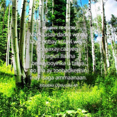Picture 04 - Muujintii 16:9 SOM - Markaasaa dadkii waxaa lagu gubay kulayl weyn, oo - Bible Verse Picture