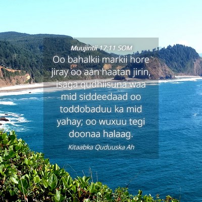 Picture 04 - Muujintii 17:11 SOM - Oo bahalkii markii hore jiray oo aan haatan - Bible Verse Picture
