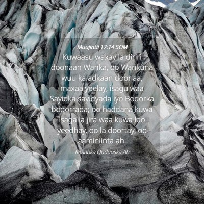 Picture 04 - Muujintii 17:14 SOM - Kuwaasu waxay la diriri doonaan Wanka, oo Wankuna - Bible Verse Picture