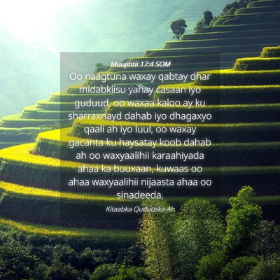 Picture 04 - Muujintii 17:4 SOM - Oo naagtuna waxay qabtay dhar midabkiisu yahay - Bible Verse Picture