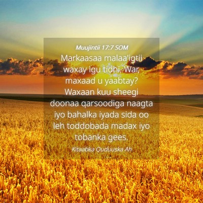 Picture 04 - Muujintii 17:7 SOM - Markaasaa malaa'igtii waxay igu tidhi, War, - Bible Verse Picture