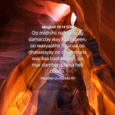 Picture 04 - Muujintii 18:14 SOM - Oo midhihii naftaadu ay damacday way kaa tageen, - Bible Verse Picture