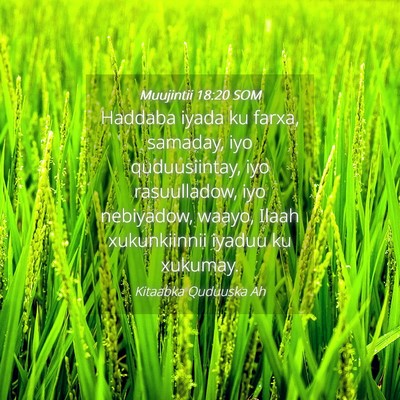 Picture 04 - Muujintii 18:20 SOM - Haddaba iyada ku farxa, samaday, iyo - Bible Verse Picture