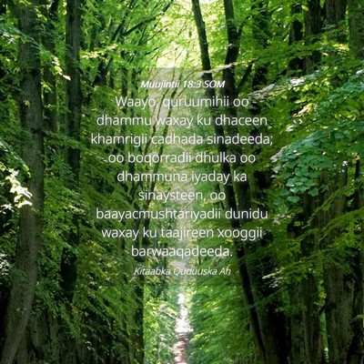 Picture 04 - Muujintii 18:3 SOM - Waayo, quruumihii oo dhammu waxay ku dhaceen - Bible Verse Picture