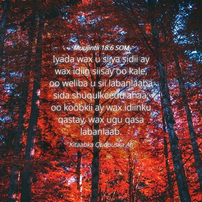 Picture 04 - Muujintii 18:6 SOM - Iyada wax u siiya sidii ay wax idiin siisay oo - Bible Verse Picture