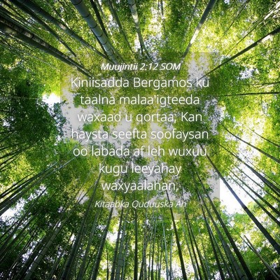 Picture 04 - Muujintii 2:12 SOM - Kiniisadda Bergamos ku taalna malaa'igteeda - Bible Verse Picture
