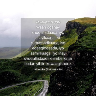 Picture 04 - Muujintii 2:19 SOM - Waan ogahay shuqulladaada, iyo jacaylkaaga, iyo - Bible Verse Picture