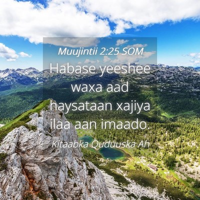 Picture 04 - Muujintii 2:25 SOM - Habase yeeshee waxa aad haysataan xajiya ilaa aan - Bible Verse Picture