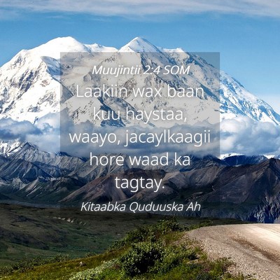 Picture 04 - Muujintii 2:4 SOM - Laakiin wax baan kuu haystaa, waayo, jacaylkaagii - Bible Verse Picture